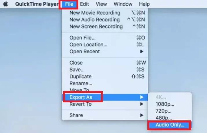 Export Audio Only