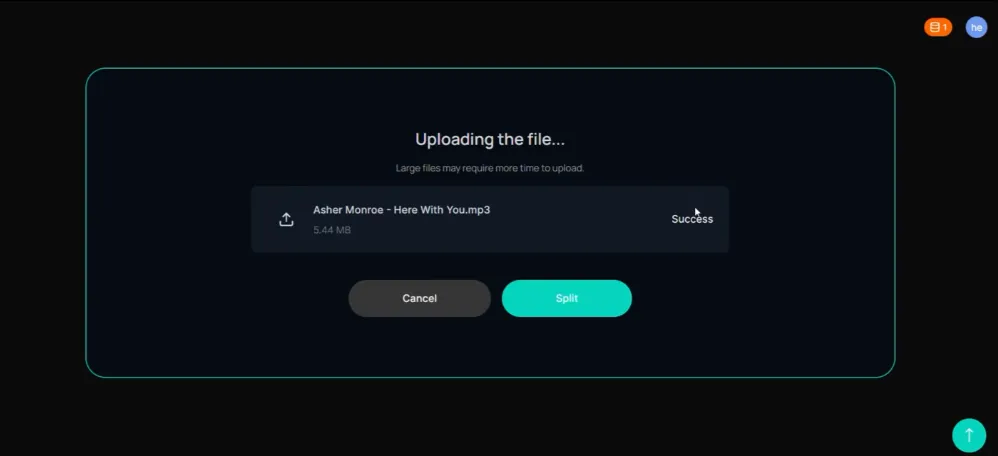 Step 4: Start Processing